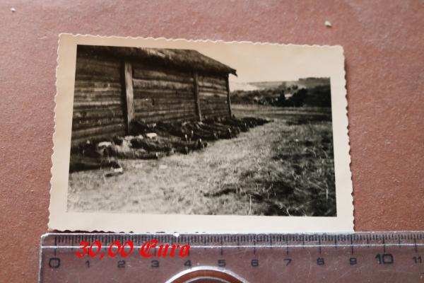 altes Foto - gefallene Soldaten ?? an Hütte aufgereiht - Russland ?